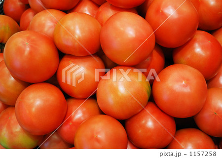 トマト-遠 1157258