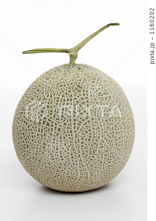 メロン メロン 1160202