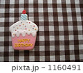 1160491