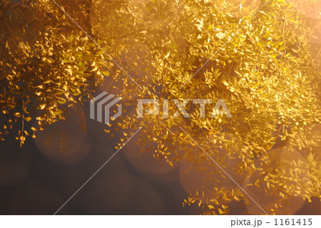 rain drops keep fallin' my head 1161415