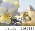 こっちも見て! 1161432