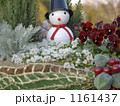 小さな願い 1161437