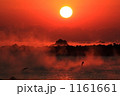 海霧に舞う 1161661