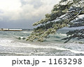 冬の山陰海岸 冬の山陰海岸 1163298