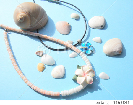 常夏南国ハワイの海からの贈り物 1163841