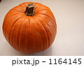 大きなカボチャ 1164145