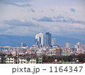高層ビルの遠景 1164347