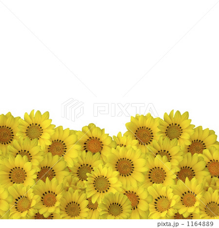 花 花 1164889