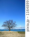 青空の下で・・・ 1164899