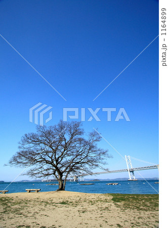 青空の下で・・・ 1164899