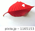 赤い葉っぱ 1165153