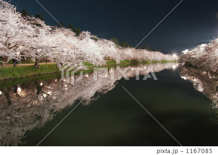 弘前城の夜桜 1167085