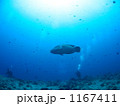 英雄 1167411
