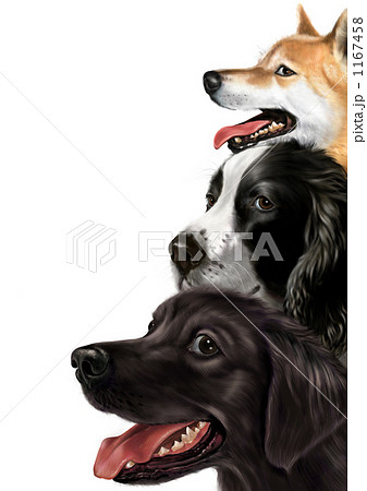3匹の犬 1167458