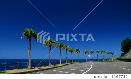 大浜海浜公園　見はらし広場 1167752