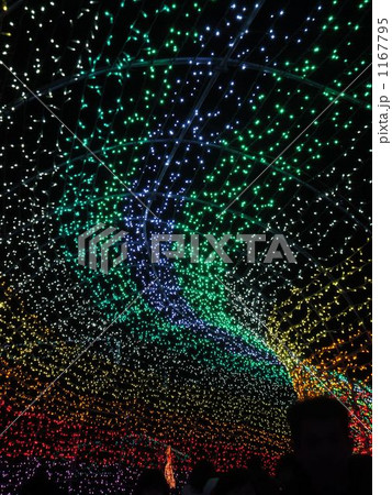 東京ドイツ村 イルミネーション 東京ドイツ村 イルミネーション 1167795
