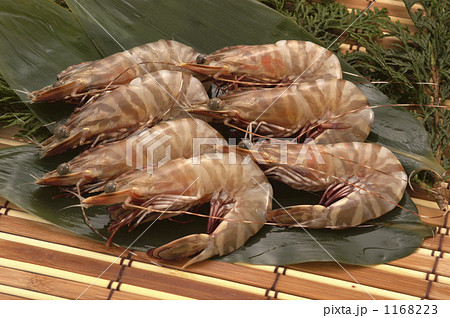 車エビ7匹 車エビ7匹 1168223