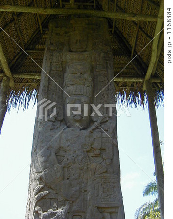 キリグアの遺跡公園 1168884