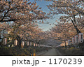 夜明けの段かずら 1170239