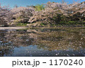段かずら 1170240