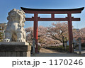 段かずら 1170246