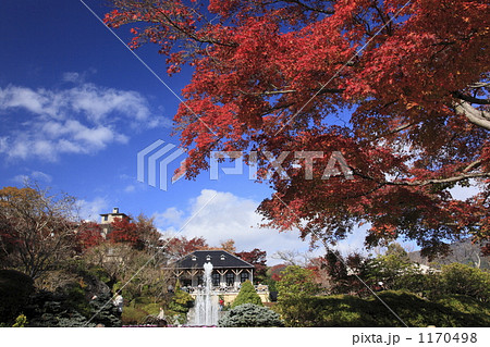 秋の強羅公園 秋の強羅公園 1170498