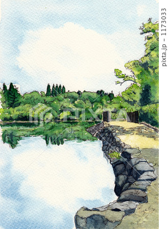 いもり池 1173033