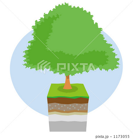 木と地層のイメージのイラスト素材