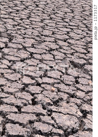 旱魃 旱魃 1173317