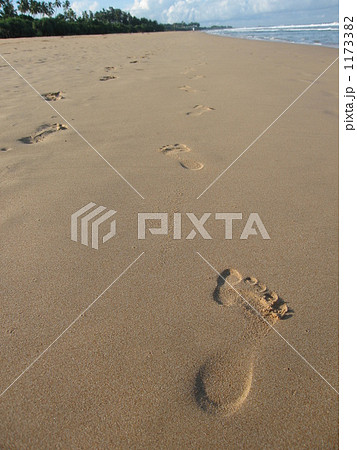 夏の晴れた日の砂浜で一本の人の足跡を撮った写真の写真素材