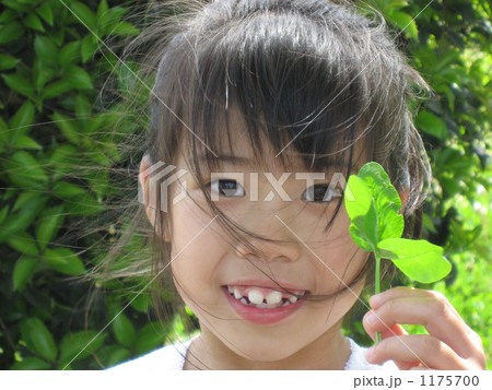 見つけた！ 1175700