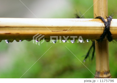 竹の垣根 竹の垣根 1175796