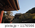 鶴岡八幡宮 1176566