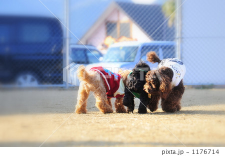 友達になろう！ 1176714