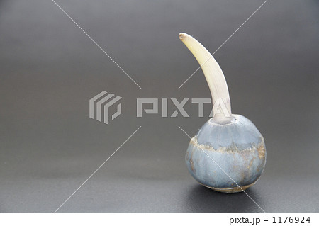 慈姑 慈姑 1176924