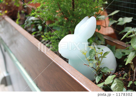 うさぎさん 1178302