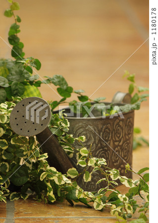 ブリキのジョーロ ブリキのジョーロ 1180178