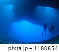 感動の一瞬 1180854