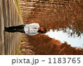 1183765