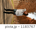 1183767
