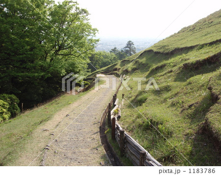 のどかな山道 1183786