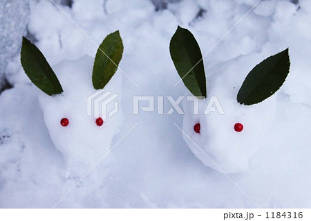 ゆきうさぎ 雪兎 ユキウサギの写真素材 [1184316] - PIXTA