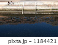 お花見 1184421