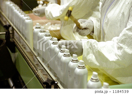 検品作業 1184539