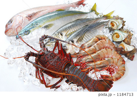 海鮮盛り合わせ 海鮮盛り合わせ 1184713
