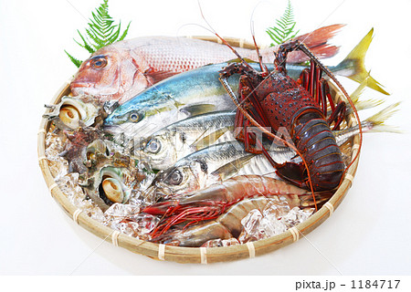 海鮮盛り合わせ 海鮮盛り合わせ 1184717