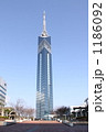 福岡タワー 1186092