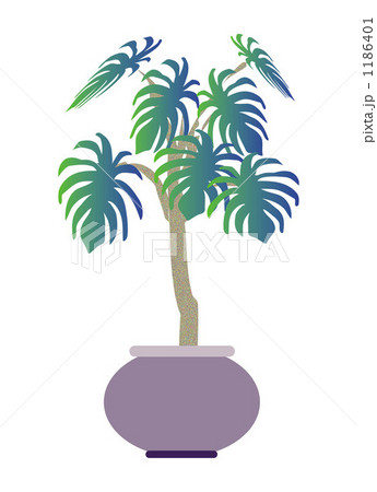 20100301_植物 20100301_植物 1186401