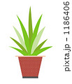 ２０１００３０１_観葉植物 1186406