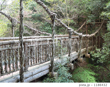 かずら橋 1186432